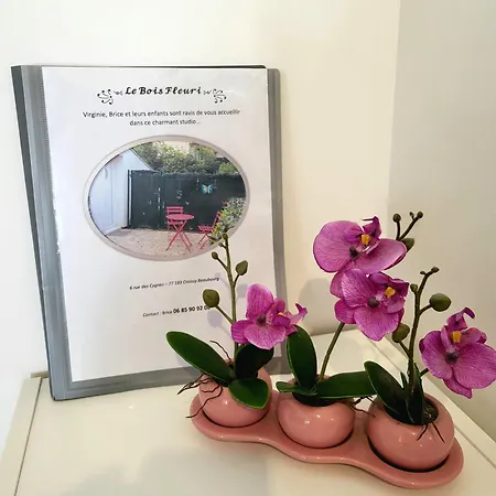 Maison Le Bois Fleuri *